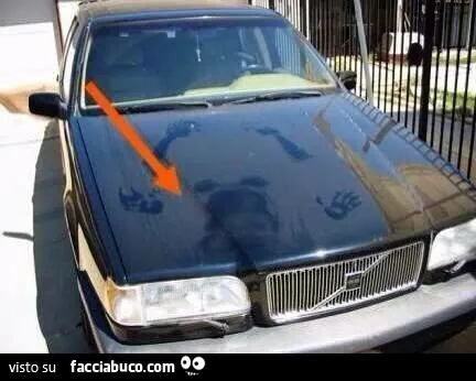Tracce di sesso sul cofano dell'automobile
