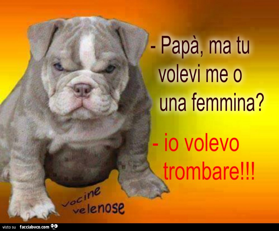 Papà, ma tu volevi me o una femmina? Io volevo trombare