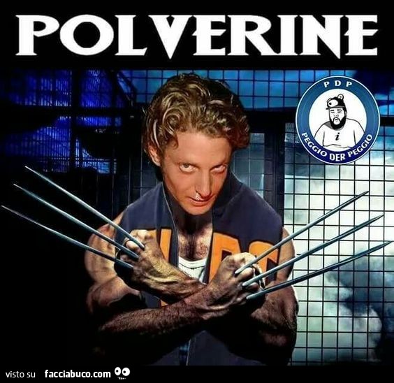 Polverine