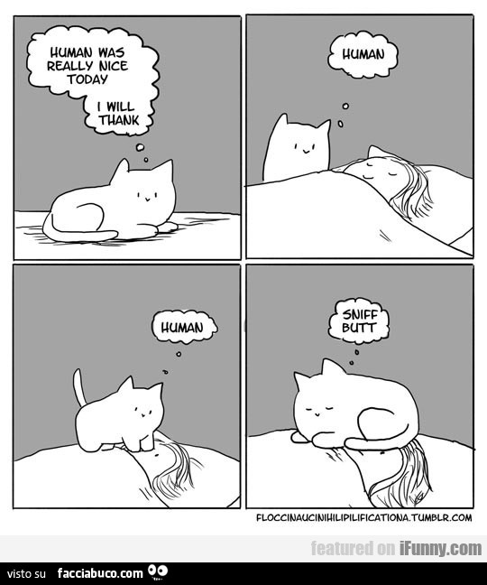 Human was really nice today, I will thank. Sniff butt