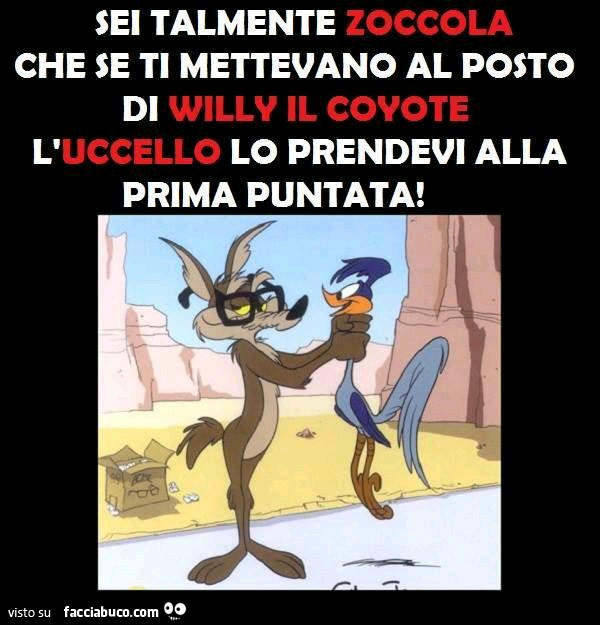 Sei talmente zoccola che se ti mettevano al posto di Willy il Coyote, l'uccello lo prendevi alla prima puntata