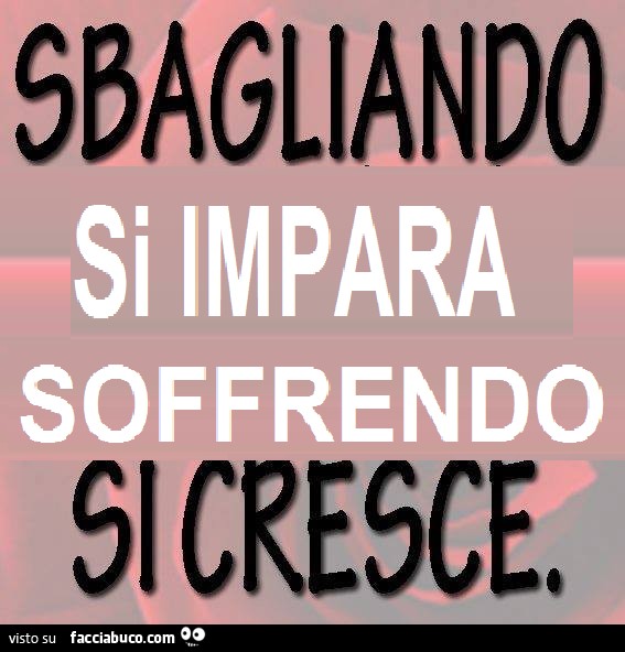 Sbagliando si impara soffrendo si cresce - Facciabuco.com