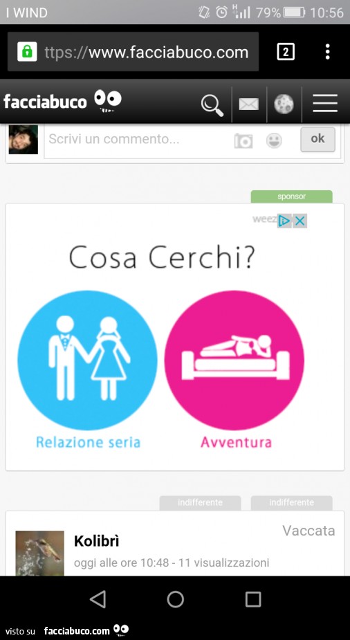 Cosa cerchi? Relazione seria. Avventura