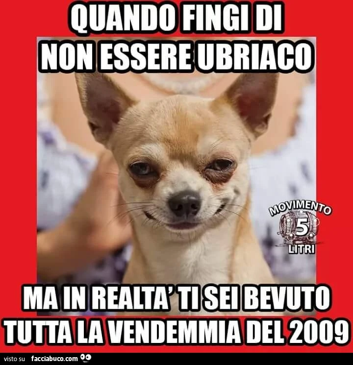 Quando fingi di non essere ubriaco ma in realtà ti sei bevuto tutta la vendemmia del 2009