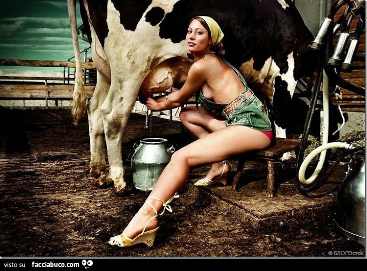 Ragazza sexy munge la mucca