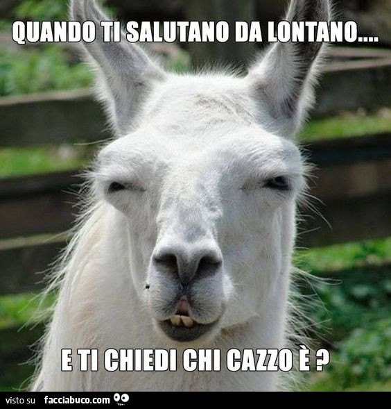 Quando ti salutano da lontano e ti chiedi: chi cazzo è?