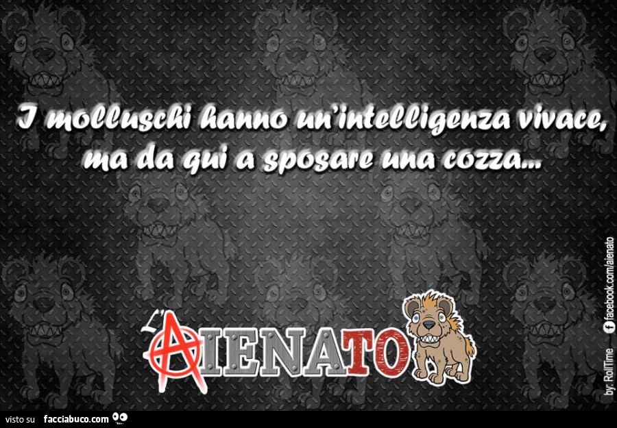 I molluschi hanno un'intelligenza vivace, ma da quì a sposare una cozza