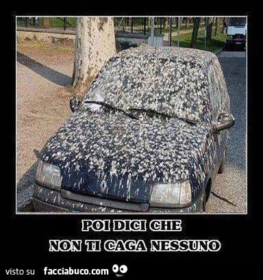 hnxrsh0l7c-auto-piena-di-cacche-di-uccelli-poi-dici-che-non-ti-caga-nessuno_b.jpg