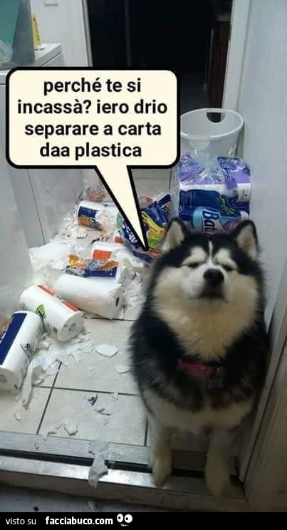 Perchè te si incassà? Ieri drio separare a carta daa plastica