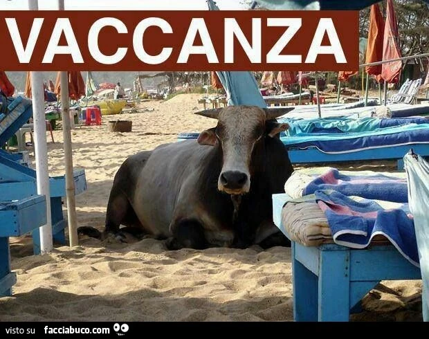 Vaccanza