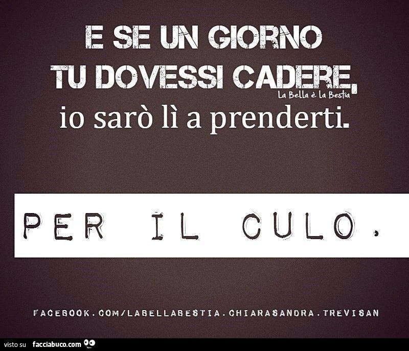 E se un giorno tu dovessi cadere, io sarò lì a prenderti. Per il culo