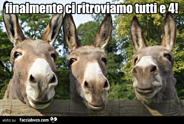 Finalmente ci ritroviamo tutti e 4