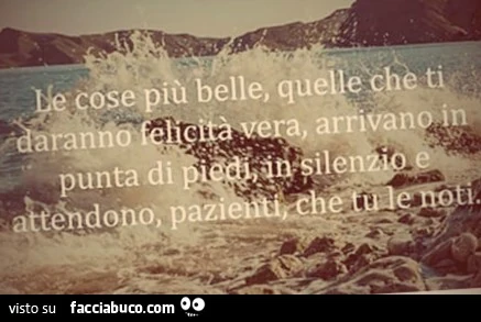 Le cose più belle, quelle che ti daranno felicità vera, arrivano in punta di piedi, in silenzio e attendono, pazienti che tu le noti