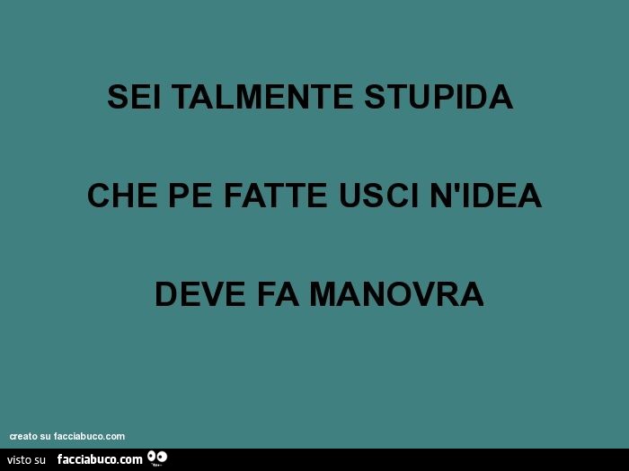Sei talmente stupida che pe fatte usci n'idea deve fa manovra