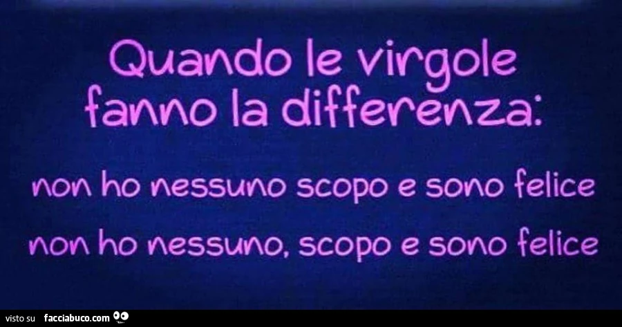 Quando le virgole fanno la differenza: non ho nessuno scopo e sono felice. Non ho nessuno, scopo e sono felice
