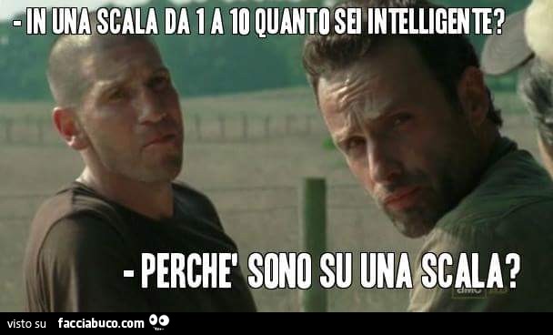 In una scala da 1 a 10 quanto sei intelligente? Perchè sono su una scala?