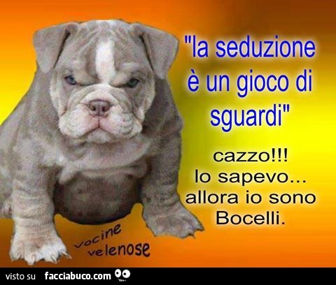 La seduzione è un gioco di sguardi. Cazzo lo sapevo… allora io sono Bocelli