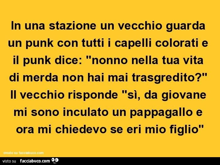 In una stazione un vecchio guarda un punk con tutti i capelli colorati e il punk dice: "nonno nella tua vita di merda non hai mai trasgredito?" Il vecchio risponde "sì, da giovane mi sono inculato un pappagallo e ora mi chiedevo se eri mio 