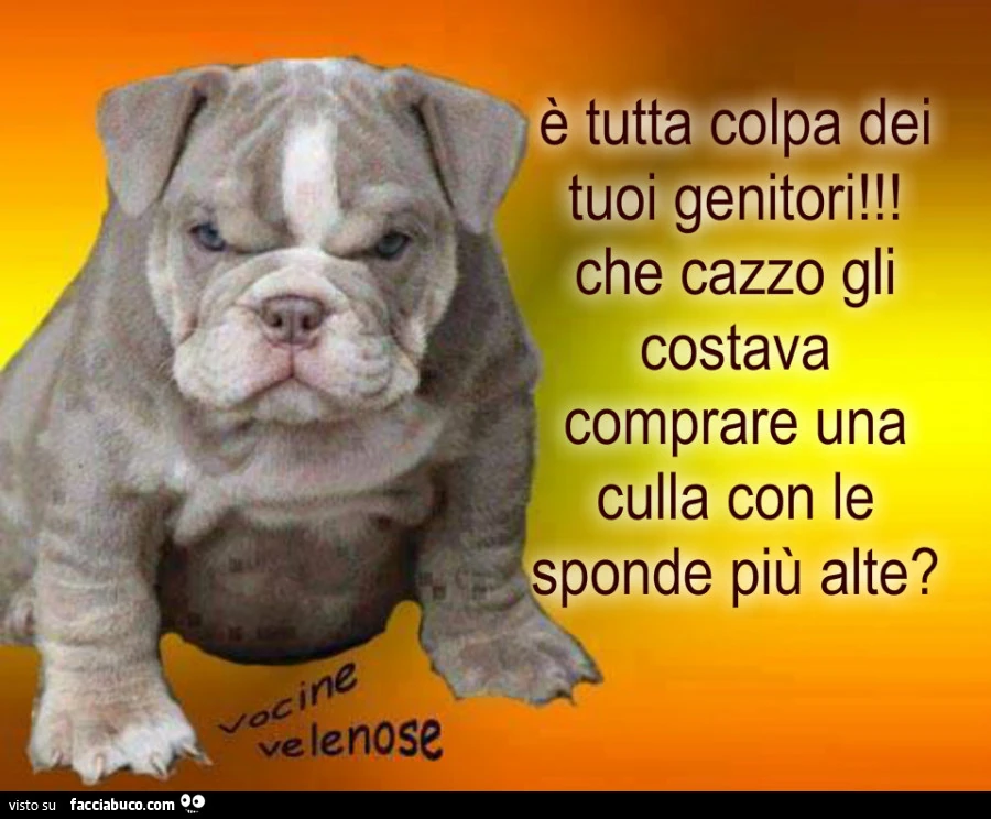 È tutta colpa dei tuoi genitori! Che cazzo gli costava comprare una culla con le sponde più alte