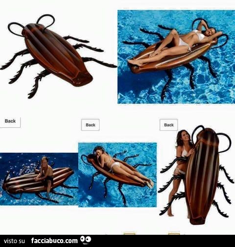 Materassino per l'acqua a forma di scarafaggio