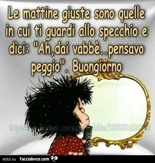 Le mattine giuste sono quelle in cui ti guardi allo specchio e dici: Ah, dai vabbè pensavo peggio. Buongiorno