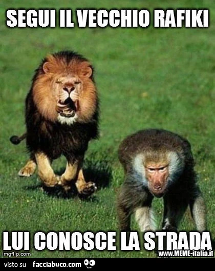 Segui il vecchio Rafiki, lui conosce la strada