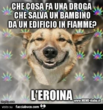 Che cosa fa una droga che salva un bambino da un edificio in fiamme? L'eroina