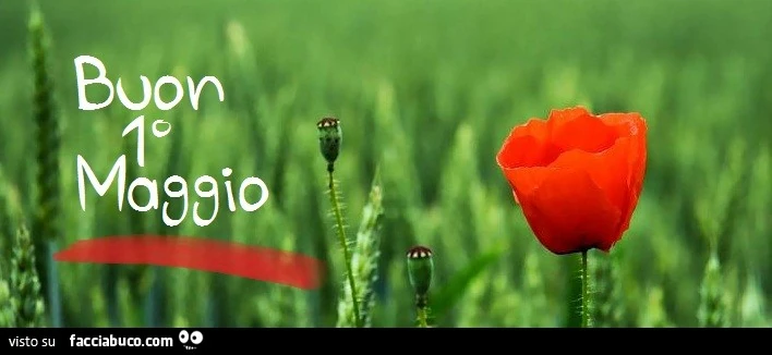 Buon 1° Maggio
