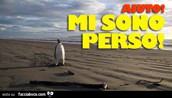 Pinguino sulla spiaggia. Aiuto mi sono perso