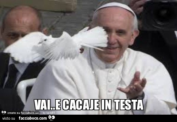 Vaccata
