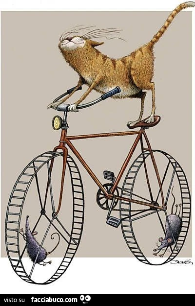 Gatto in bicicletta, e i topi sulle ruote