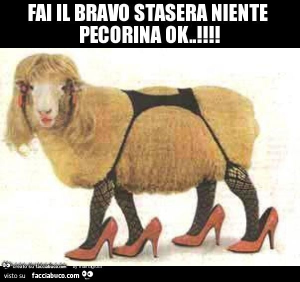 Fai il bravo stasera niente pecorina ok