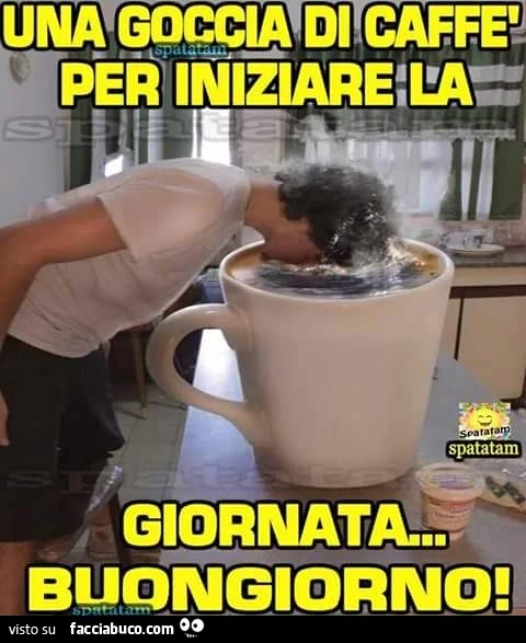Vaccata
