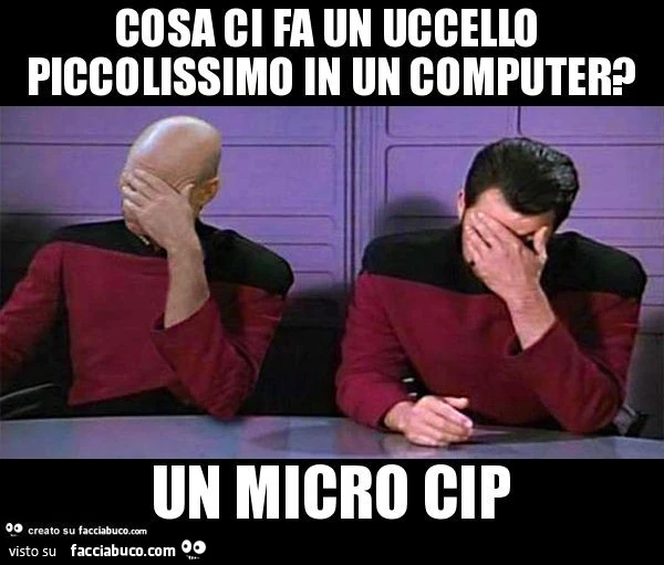 Cosa ci fa un uccello piccolissimo in un computer? Un micro cip