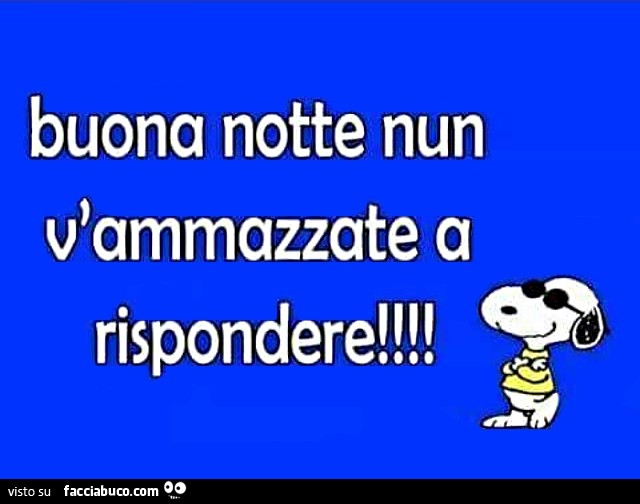 Buona notte nun v'ammazzate a rispondere