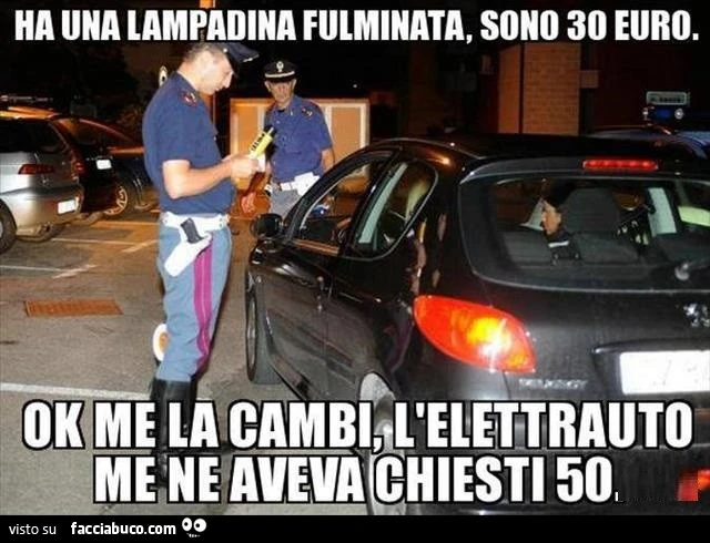 Ha una lampadina fulminata, sono 30 euro. Ok me la cambi, l'elettrauto me ne aveva chiesti 50