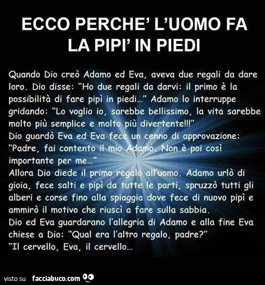 Ecco perchè l'uomo fa la pipì in piedi