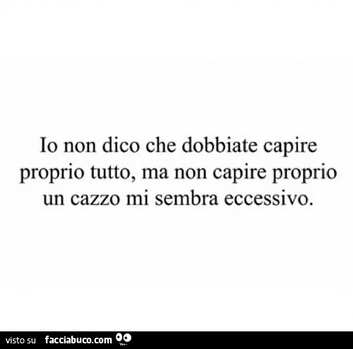 Io non dico che dobbiate capire proprio tutto, ma non capire proprio un cazzo mi sembra eccessivo