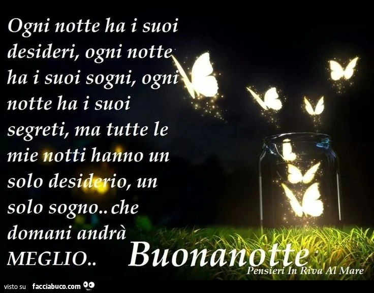 Ogni notte ha i suoi desideri, ogni notte ha i suoi sogni, ogni notte ha i suoi segreti, ma tutte le mie notti hanno un solo desiderio, un solo sogno. Che domani andrà meglio. Buonanotte