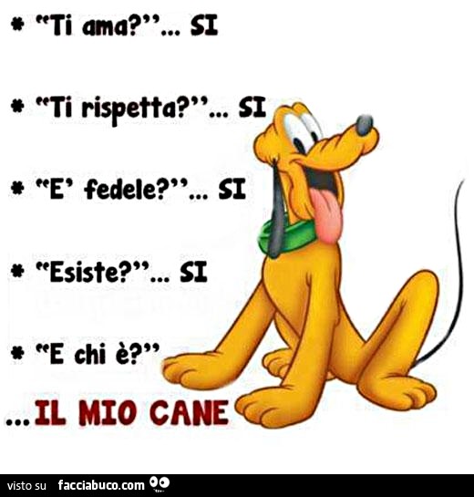 https://cdn-img-b.facciabuco.com/46/fnv80gwb6s-ti-ama-si-ti-rispetta-si-fedele-si-esiste-si-e-chi-e-il-mio-cane_a.jpg?c=1