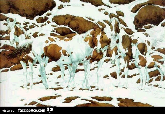 Cavalli mimetizzati con la neve e la montagna