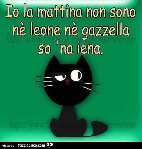 Io la mattina non sono nè leone nè gazzella, so na iena