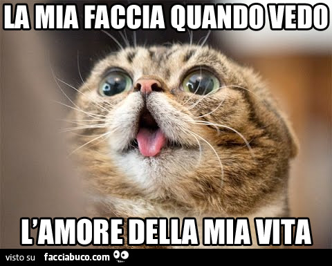 Cerco l amore della mia vita