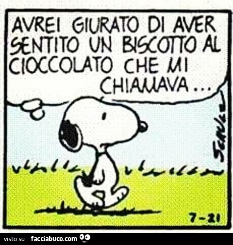 Avrei giurato di aver sentito un biscotto al cioccolato che mi chiamava