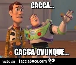 Vaccata