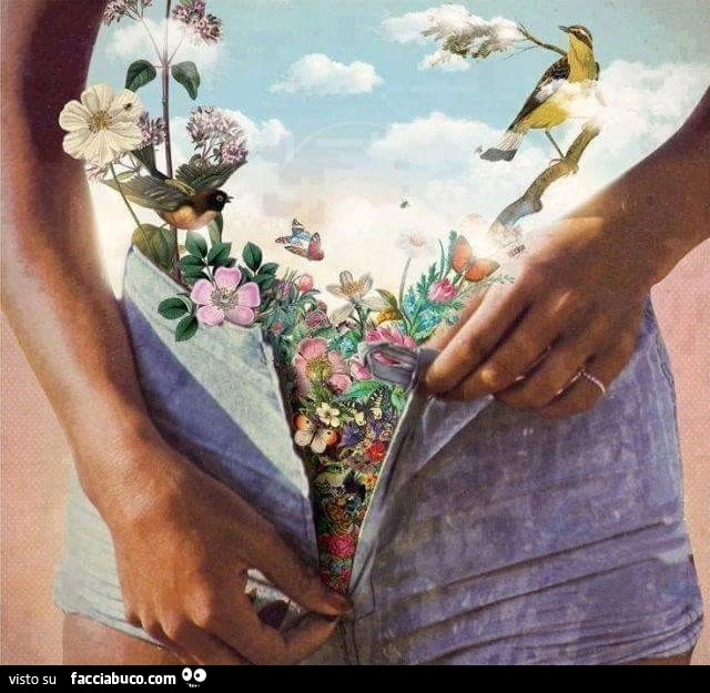 Fiori uccellini nuvole