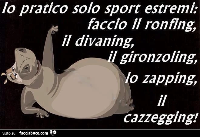 Io pratico solo sport estremi: faccio il ronfing, il divaning, il gironzoling, lo zapping, il cazzegging