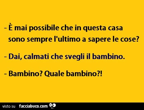 È mai possibile che in questa casa sono sempre l'ultimo a sapere le cose? Dai, calmati che svegli il bambino. Bambino? Quale bambino?