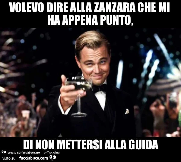 Volevo dire alla zanzara che mi ha appena punto, di non mettersi alla guida