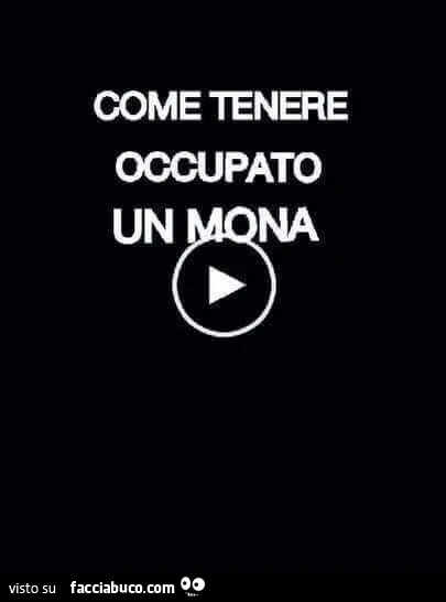 Come tenere occupato un mona